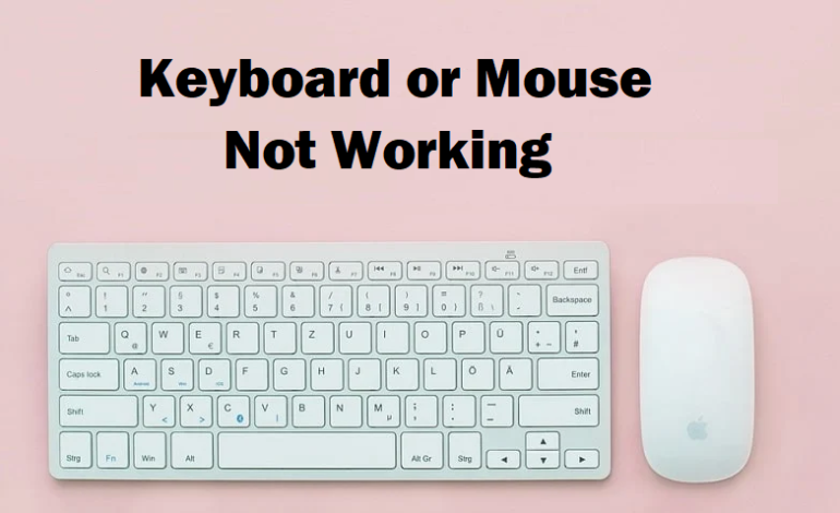 keyboard-or-mouse-not-working