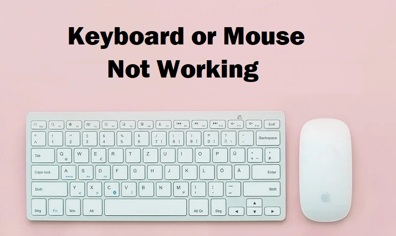 Keyboard or Mouse Not Working – #3 Ways to Fix Such Issues